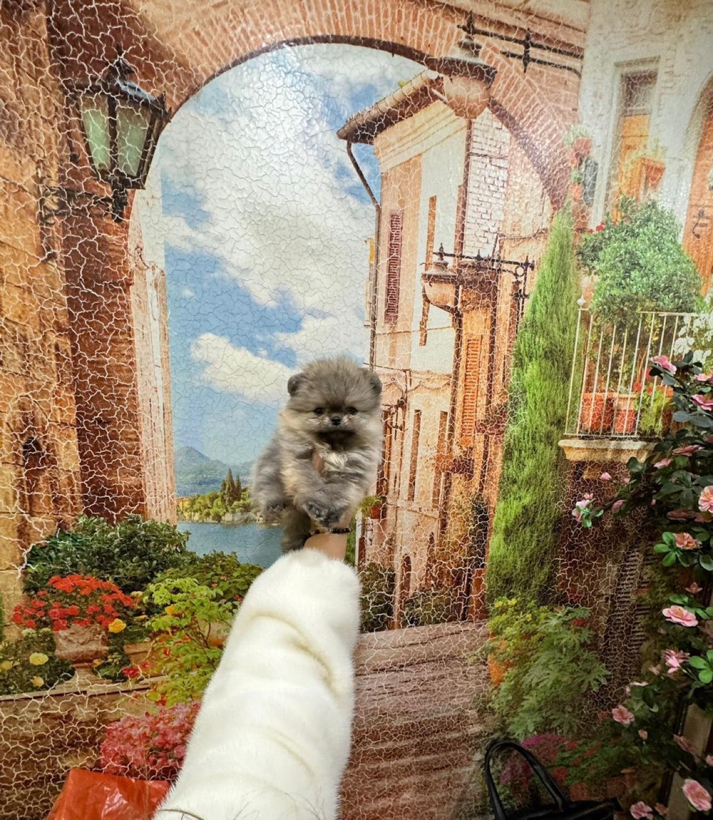 Бентли позирует