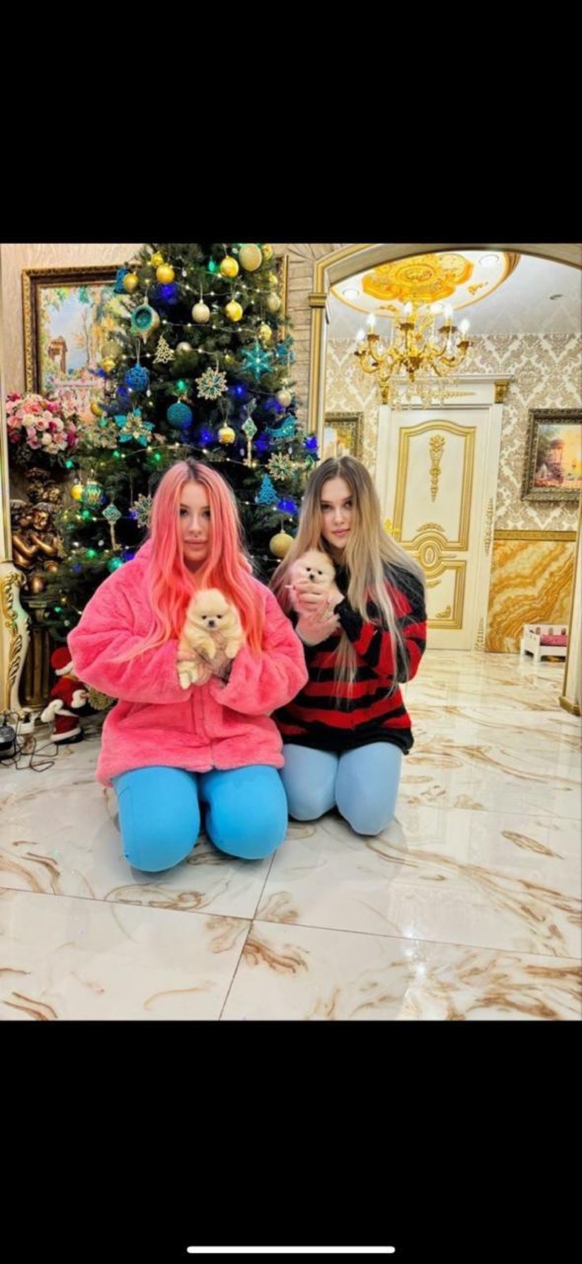 Две девушки с щенками